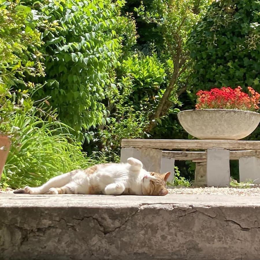 Il Giardino Nel Parco R&B Hotel Bologna Ngoại thất bức ảnh